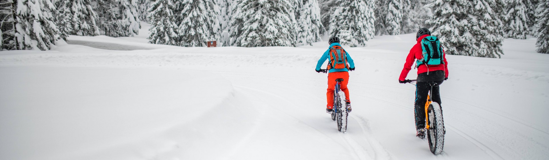 Eye Anatomy Eye Care Eye Health Hagerstown MD Frederick MD